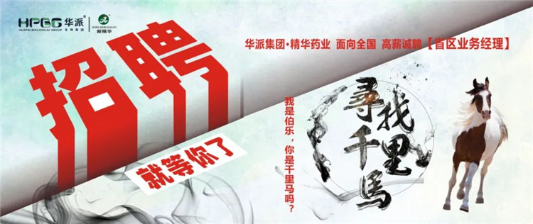 寻找千里马 | 华派集团•耀彩网药业面 向天下高薪诚聘【省区营业司理】 我是伯乐，，，，，你是千里马吗？？？？？？