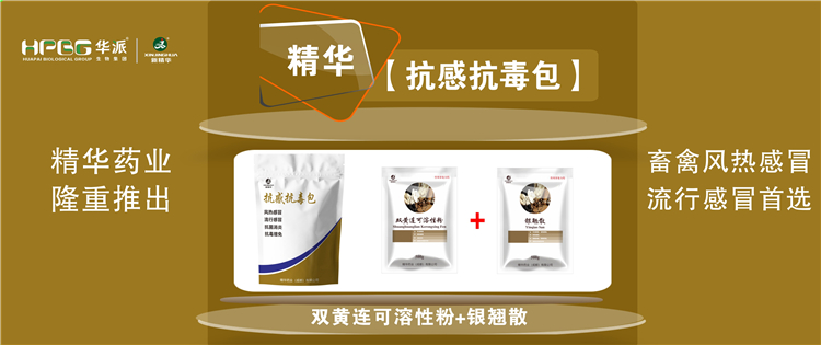 科普：几种常见畜禽伤风与盛行性伤风的防控 |【抗感抗毒包】抗菌消炎、解热排毒、抗毒增免，，，，，，畜禽风热伤风、盛行伤风首选!