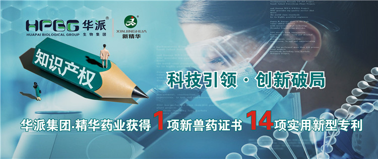 科技引领•立异破局 | 华派集团•耀彩网药业获得1项新兽药证书 14项适用新型专利