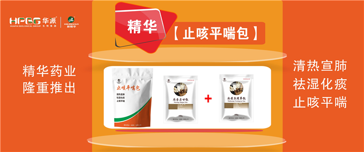 科普：畜禽呼吸道疾病的防控手艺 |【止咳平喘包】清热宣肺、祛湿化痰、止咳平喘，，，，，，畜禽呼吸道疾病引起的种种咳喘防控首。。。